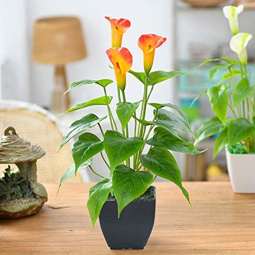 人造花植物馬蹄蓮仿小盆栽帶黑色花盆假盆景花適用於家庭、辦公室、室內外場合裝飾
