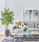 New Products for your home