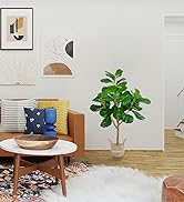 Collection image for: Apartment Supplies