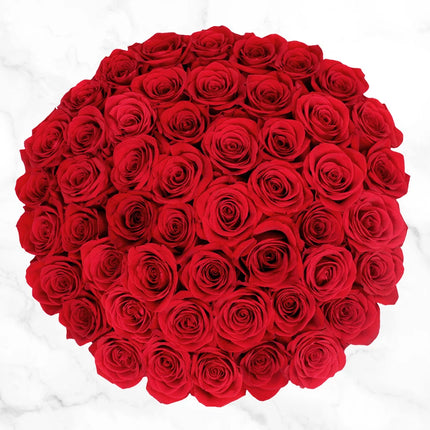 Red Roses Bouquet Valentines Fresh Cut Floral Arrangement for Any Events and Occasions