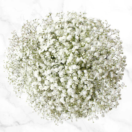 Popular Filler Baby' Breath Bouquet Valentines Fresh Cut Floral Arrangement for any Events and Occasions