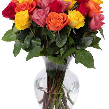 24 Stems Premium Assorted Roses (Glass Vase Included) - Fresh Flowers for any occasions