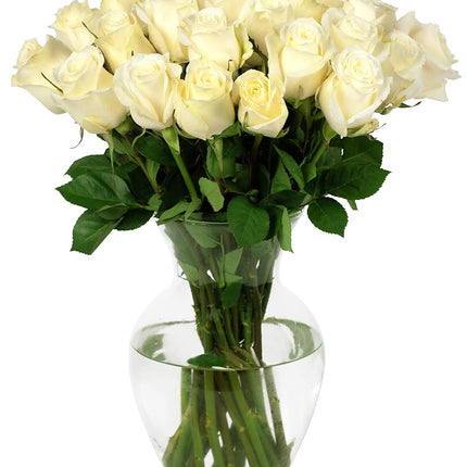 24 Stems Premium White Roses (Glass Vase Included) - Fresh Flowers for any occasions