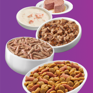 Purina Friskies Wet Cat Food Variety Per Cans Filets, Shred, Pate and Treats