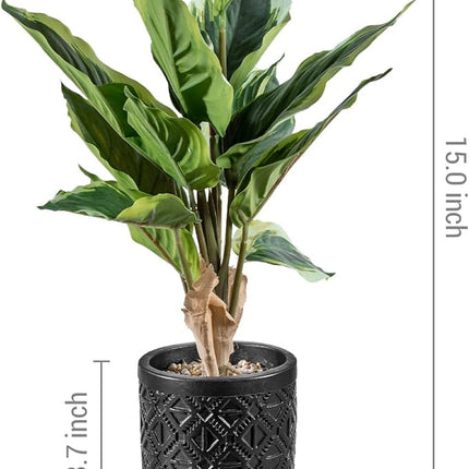 Fake Dieffenbachia in Decor Pot