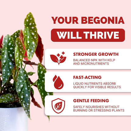Begonia Fertilizer – Liquid Plant Food for More Blooms, Vibrant Color & Healthy Leaf Growth, 8 oz