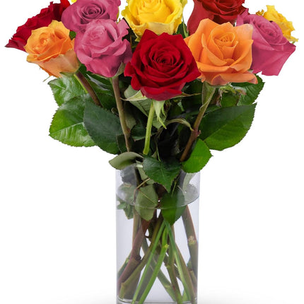 12 Stems Premium Assorted Roses (Glass Vase Included) - Fresh Flowers for any occasions