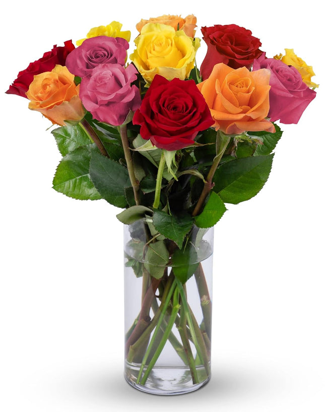12 Stems Premium Assorted Roses (Glass Vase Included) - Fresh Flowers for any occasions
