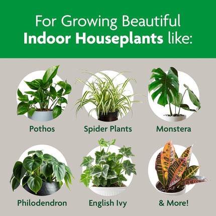 Indoor Potting Mix, Blended for a Variety of Houseplants, Feeds for up to 6 Months, 6 qt