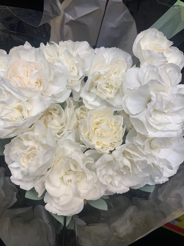 新鮮康乃馨花束，適合節日禮物和家居裝飾