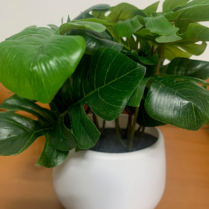 Fake Mini Monstera Plants in Decor Pot for computer desk Indoor or outdoor decoration