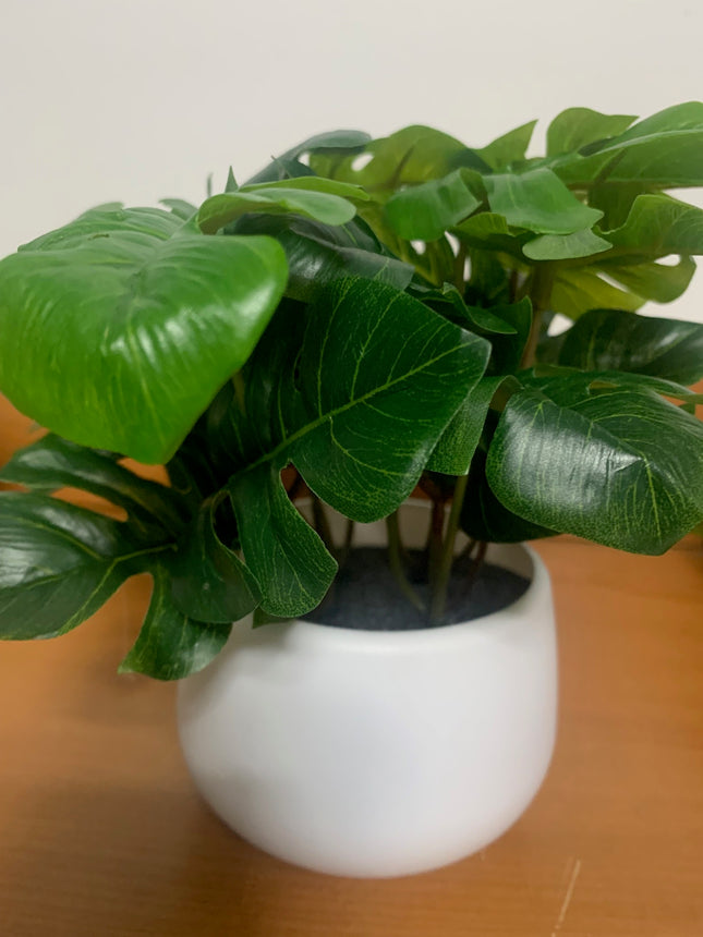 Fake Mini Monstera Plants in Decor Pot for computer desk Indoor or outdoor decoration
