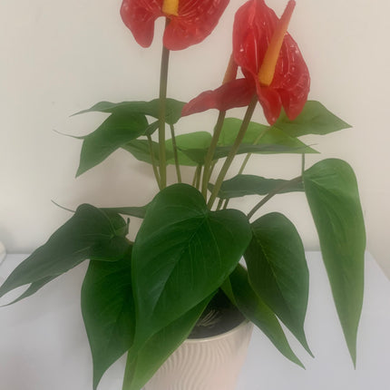 Fake Silk Anthurium plant in Decor Plant indoor or outdoor