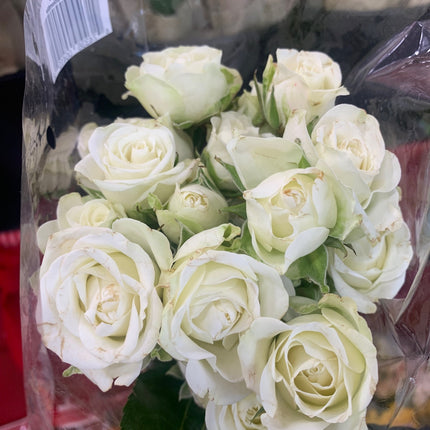 Beautiful Mini Roses Bouquet Valentines Fresh Cut Floral Arrangement 12 Stems for any Events and Occasions