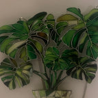 Monstera