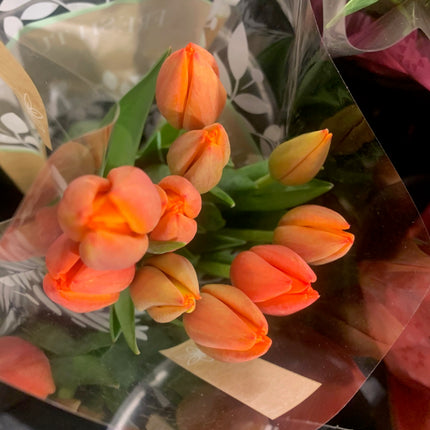 Elegant Orange Tulip Cut Flowers for Spring Season and Mother day Indoor Decor