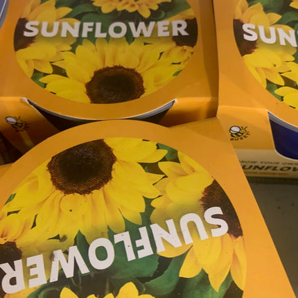 Flower and Plant Seed Starter Kit, Indoor Gardening Gift, Holiday Present