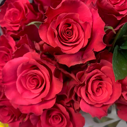 新鮮玫瑰花束，適合節日禮物、活動慶祝、生日慶祝和家居裝飾