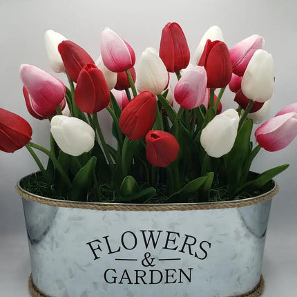 Perennial Flower Bulbs and Seeds