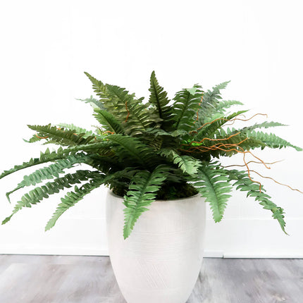 近乎天然的 3 種尺寸 22 英寸 40 英寸 48 英寸人造波士頓蕨