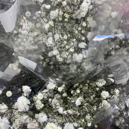 Popular Filler Baby' Breath Bouquet Valentines Fresh Cut Floral Arrangement for any Events and Occasions