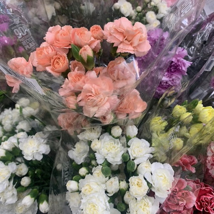 Beautiful Carnation Bouquet Valentines Fresh Cut Floral Arrangement 9-12 Stems for any Events and Occasions