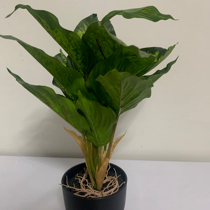 Fake Dieffenbachia in Decor Pot