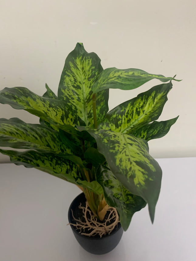 Fake Dieffenbachia in Decor Pot