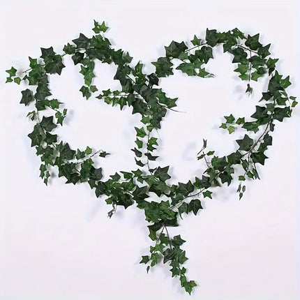 Rooted Air Indoor Plants English Ivy Green in 6"Pot outdoor yard