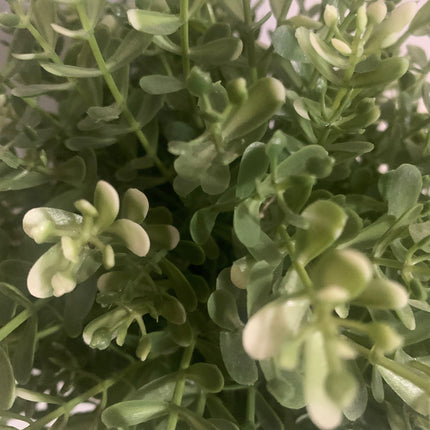 Fake Plant in Decor Pot Indoor or outdoor decoration