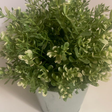 Fake Plant in Decor Pot Indoor or outdoor decoration