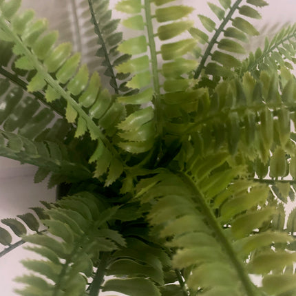 Fake Boston Fern in Decor Pot Indoor or outdoor decoration