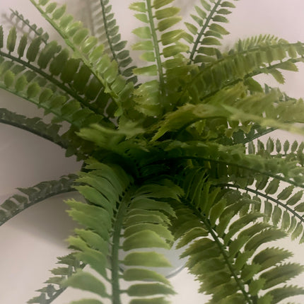 Fake Boston Fern in Decor Pot Indoor or outdoor decoration