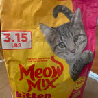 Kitten 3.15 Pound