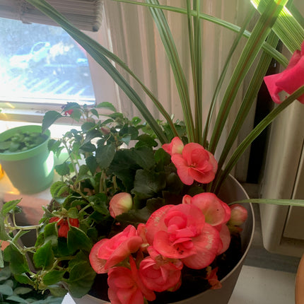 Select Your Stylish Flower Bouquet for Any Celebration Birthday and Valentine days
