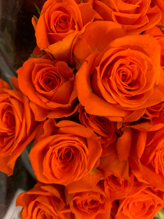 Fresh Cut  Roses Bouquets For Holiday Gift, Event Celebration, Birthday Celebration and Home decoration