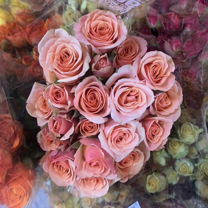 Elegant Roses with baby breath Bouquet Valentines Fresh Cut Floral Arrangement 12 Stems for any Events and Occasions