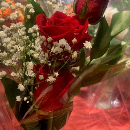 Popular Rose with Baby' Breath Bouquet Fresh Cut Floral Arrangement 6 Stems for any Events and Occasions