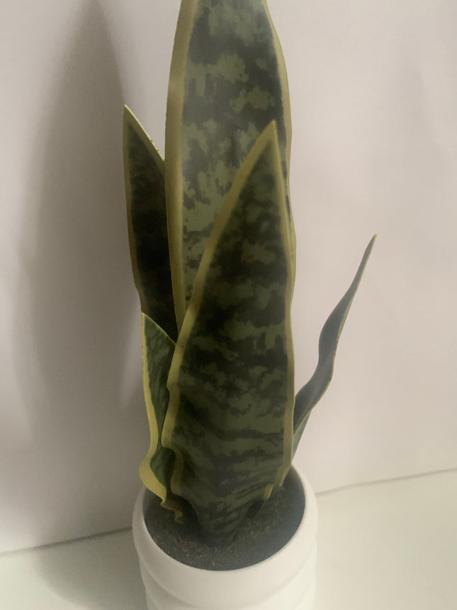 Fake Snake Plant in Decor Pot Indoor or outdoor decoration