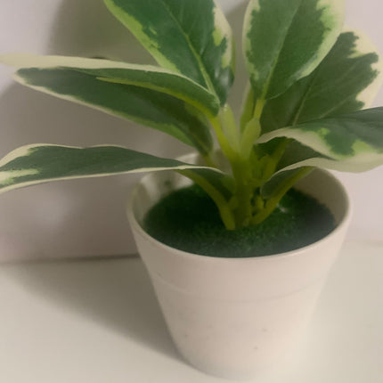 Fake Flower and Plant in Decor Pot decor for indoor or outdoor